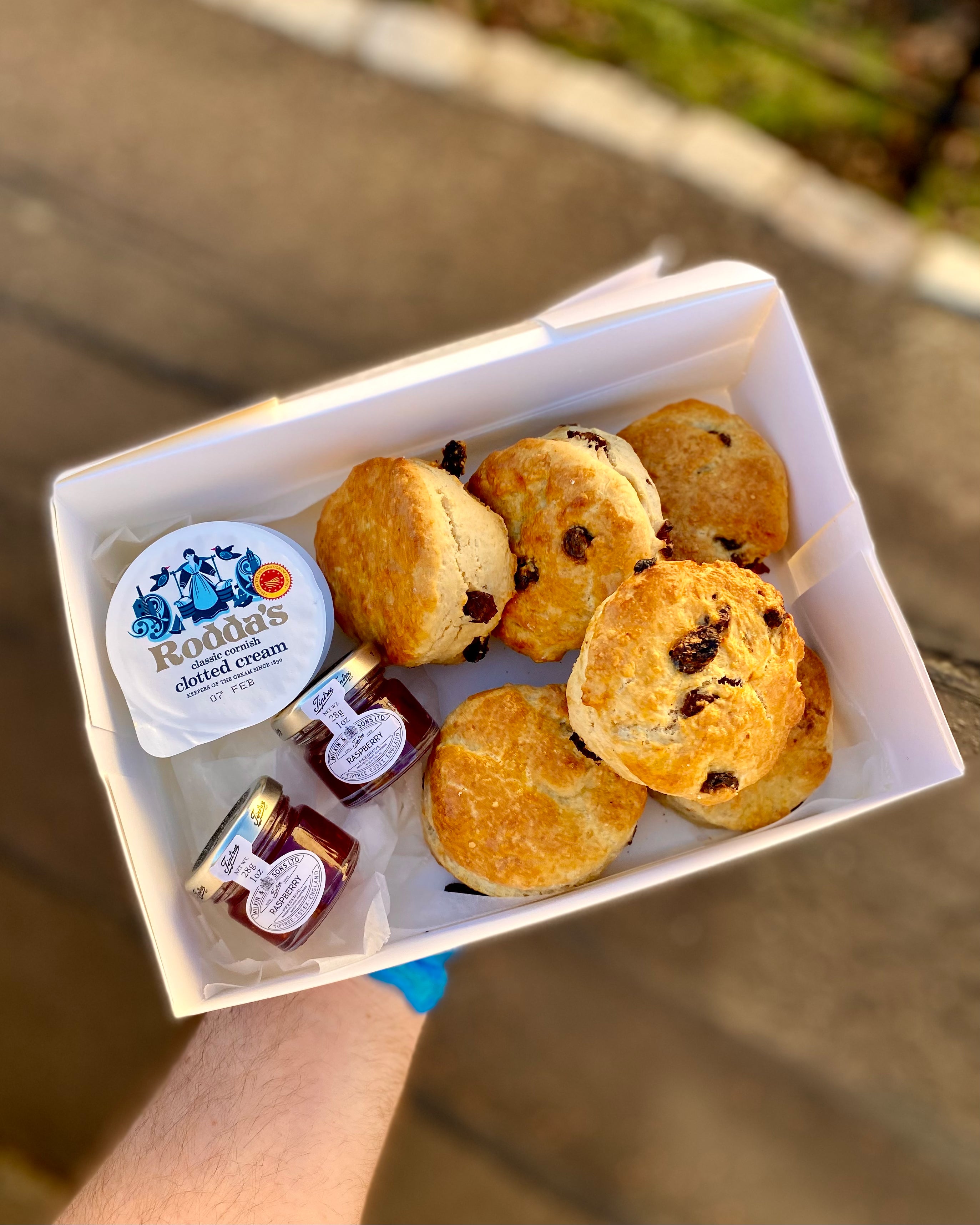 Homemade Scones