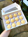 Vanilla Cupcakes